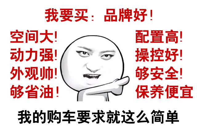 買車完美主義型 買車完美主義型